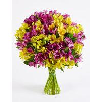 Alstroemeria Abundance Bouquet