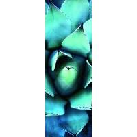 Alan Shapiro, Blue Echeveria 1000 Piece Jigsaw Puzzle