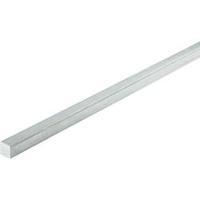 Aluminium Square Rail (L x W x H) 500 x 10 x 10 mm