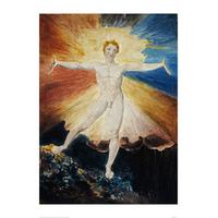 Albion Rose By William Blake