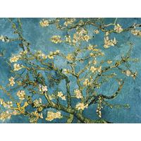 Almond Blossom, 1890 (Mandorlo in fiore) By Vincent van Gogh