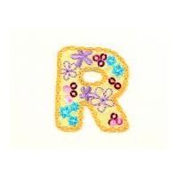 Alphabet Letter Embroidered Iron On Motif Applique 30mm x 35mm Multicoloured Letter R