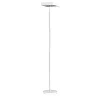 Alba Fluosquare Floor Lamp White FLUOSQUAREBCUK