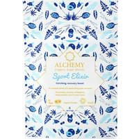 Alchemy Super Blends Sport Elixir - Voyager Pack (40g)