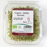 Alfalfa Sprouts (100g)