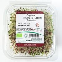 Alfalfa Radish Sprouts (100g)