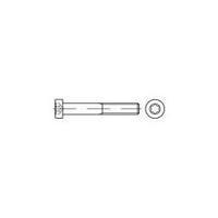 Allen screws M3 8 mm Torx DIN 7984 Steel zinc galvanized 500 pc(s) TOOLCRAFT 145822