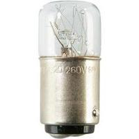 Alarm sounder light bulb Auer Signalgeräte Glü White Suitable for (signal processing) ECOmodul70 signal tower