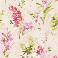 albany wallpapers spring meadow 21627