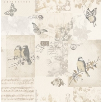 Albany Wallpapers Songbird, 11261