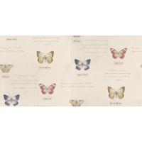 albany wallpapers butterfly cream 20453