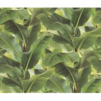 Albany Wallpapers Palm Forest, 473407