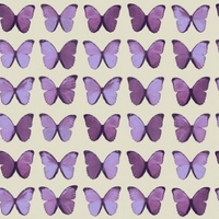 Albany Wallpapers Papillon , 622005