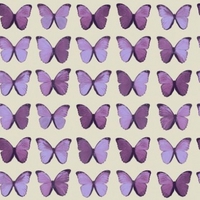 albany wallpapers papillon 622005