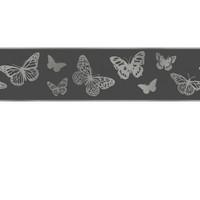 Albany Borders Butterfly, DLB50139