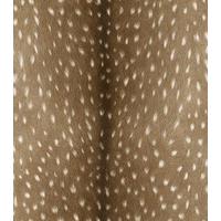 Albany Wallpapers Spotted Deer Hide, 514810