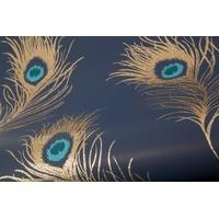 albany wallpapers glitter peacock dl40794