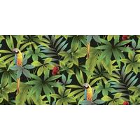 Albany Wallpapers Parrots, J92904