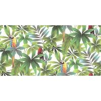 Albany Wallpapers Parrots, J92914