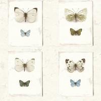 Albany Wallpapers Butterfly Wall, SD2022