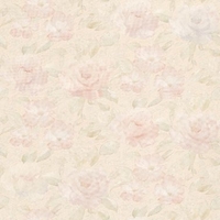 albany wallpapers albany silks fd64840