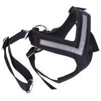 allsafe dog safety harness size m