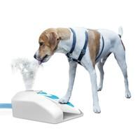 All for Paws Outdoor Garden Water Drinking Fountain Dog Cooler Press Step Paw Operated Dispenser Training Fresh Water