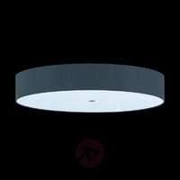 Alea Ceiling Light Fashionable Discreet Slate