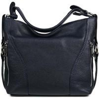 Alex amp; Co Carolina Womens Handbag women\'s Handbags in blue