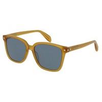 Alexander McQueen Sunglasses AM0071S 005