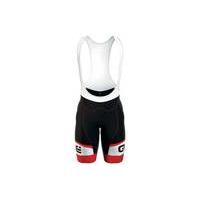 ale formula 10 logo bibshort blackred xxl