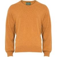 Alan Paine Stratford V Neck Sweater, Harvest Gold, XL