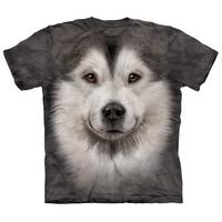 Alaskan Malamute Face