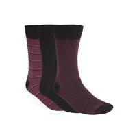 Alexandre of England Pack of 3 Pairs of Stripe Socks 0 Burgundy