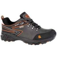 alpine pro windigo mens shoes trainers in grey