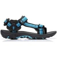 Alpine Pro Uzume men\'s Sandals in blue