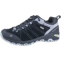 Alpine Pro Triglav Ptx Low men\'s Shoes (Trainers) in Grey