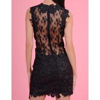 alaina black mesh and lace sleeveless fitted dress