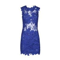 ALAINA - Sax Blue Mesh and Lace Sleeveless Fitted Dress