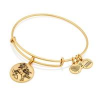 alex and ani sagittarius charm bangle a16eb57rg