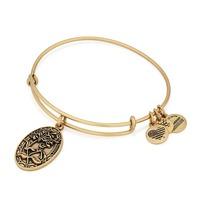 alex and ani sister charm bangle a16eb14rg