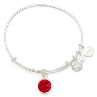 ALEX AND ANI January Charm Bangle A12EB240RS