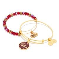 alex and ani believe wine art infusion set of 2 charm bangles a16hs01s ...