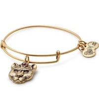 alex and ani path of symbols wild heart bangle a17ebwhrg