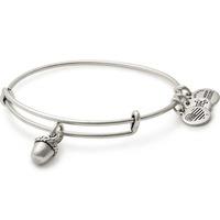 alex and ani path of symbols unexpected blessings bangle a17ebubrs