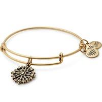 alex and ani path of symbols compass bangle a17ebcomprg