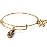 alex and ani path of symbols pineapple bangle a17eb26rg