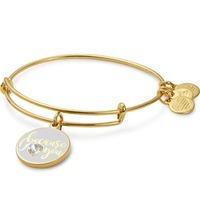 ALEX AND ANI Color Infusion Because I Love You Bangle A17EBBILUSG