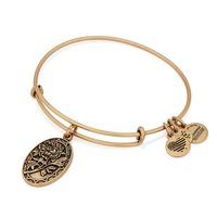 ALEX AND ANI Mom Charm Bangle A16EB10RG