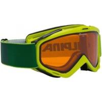 alpina firebird ski goggles